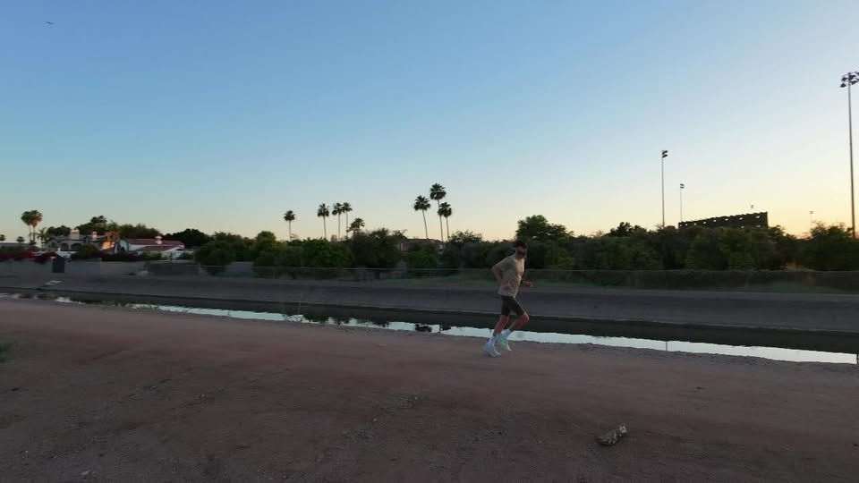 Wolfie running
